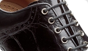 FJ® Professional Spikeless