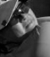 Player Thumbnail Image