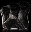 2010 Timeless Leather Set - Black Onyx