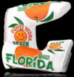 2013 Web.com - Florida Orange