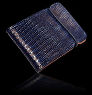 Tejus Lizard Cash Cover - Blue