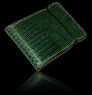 Tejus Lizard Cash Cover - Green