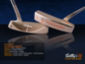 Custom Shop Putter of the Day: July 2, 2010