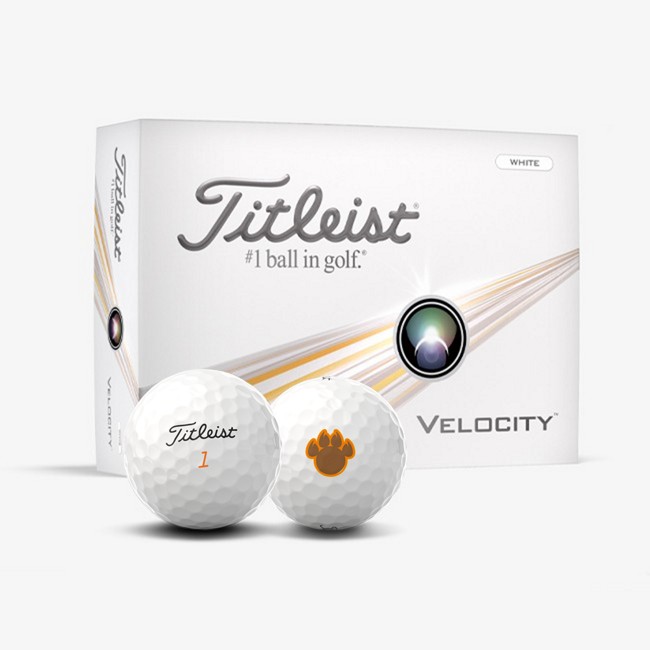 Titleist Golf Balls with Titleist Exclusive Logos