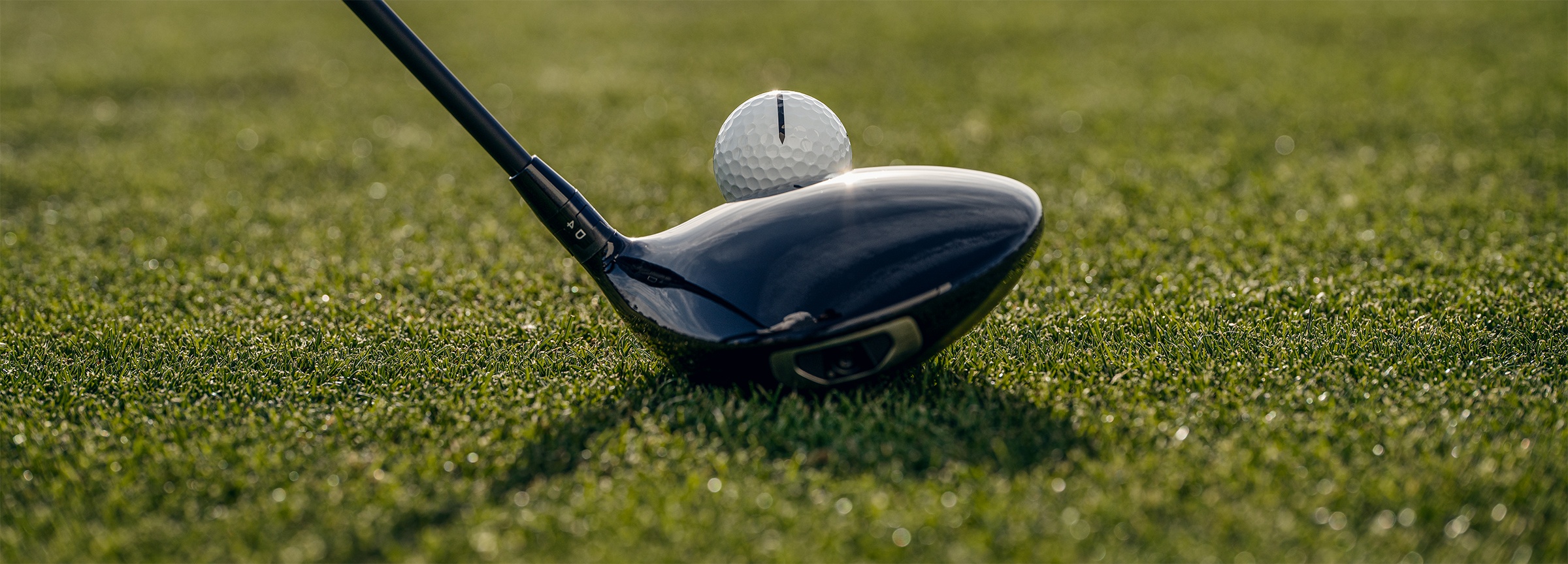 AIM Black Line Driver Nick Hamilton Desktop