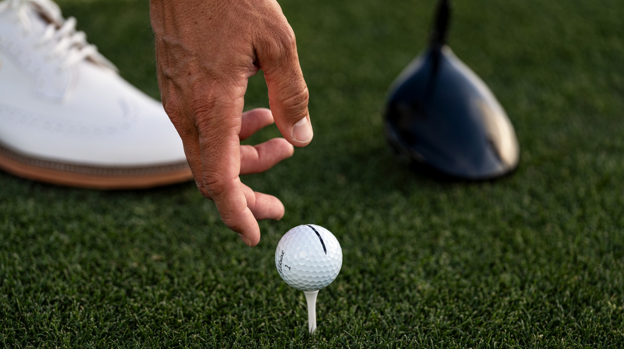 AIM Black Line Driver Nick Hamilton Desktop