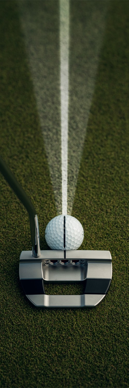 Titleist Performance Alignment Golf Balls