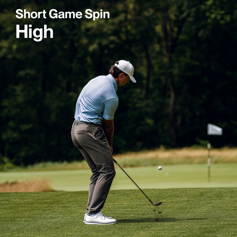 Pro V1<span>x</span> Left Dash Control