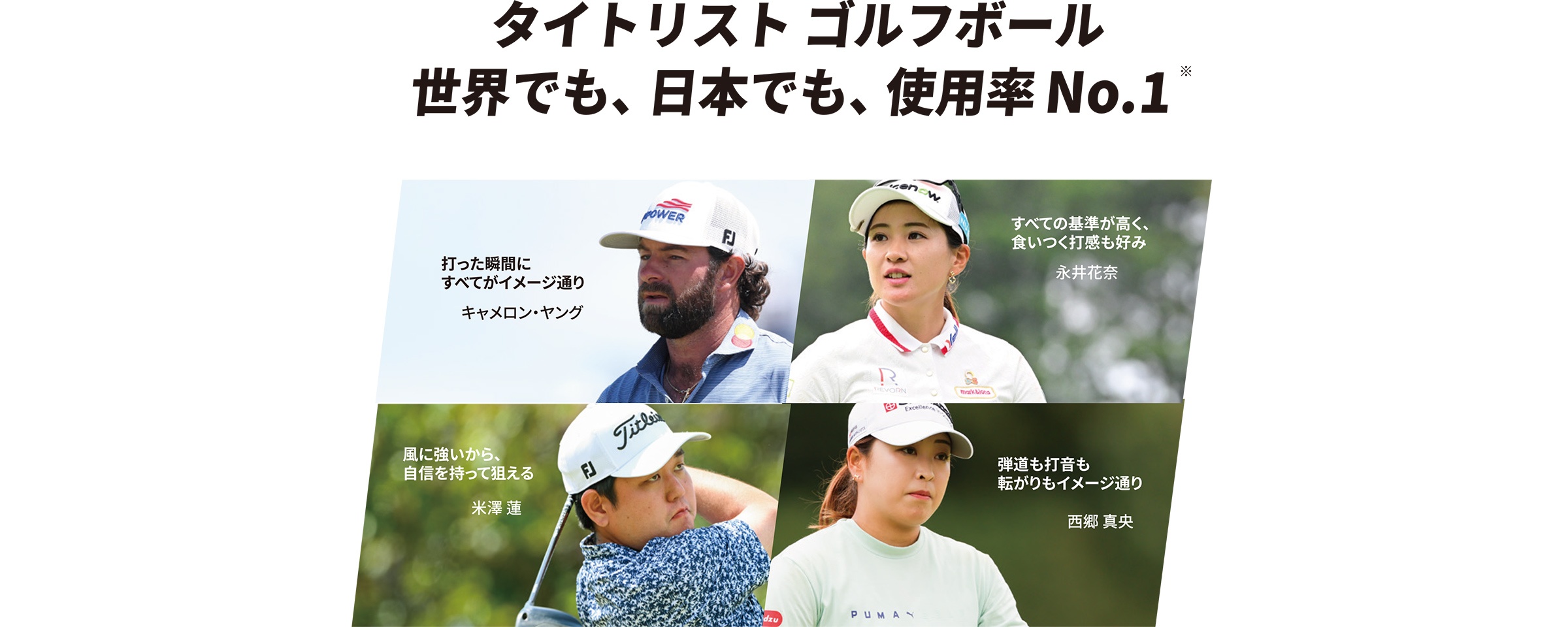 タイトリスト ゴルフボール 世界でも、日本でも、使用率 No.1