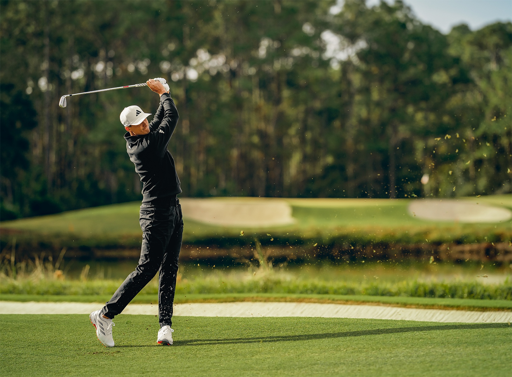 What You Need to Know