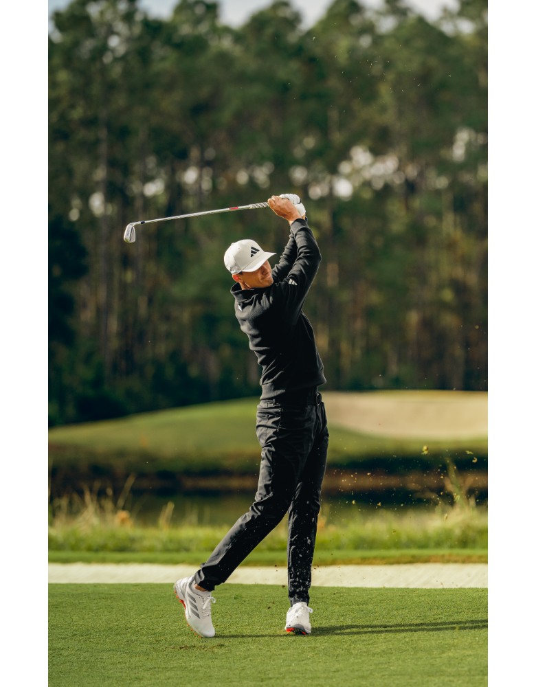 What You Need to Know