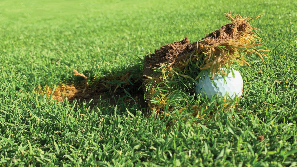 Swing Faults Divot Ball