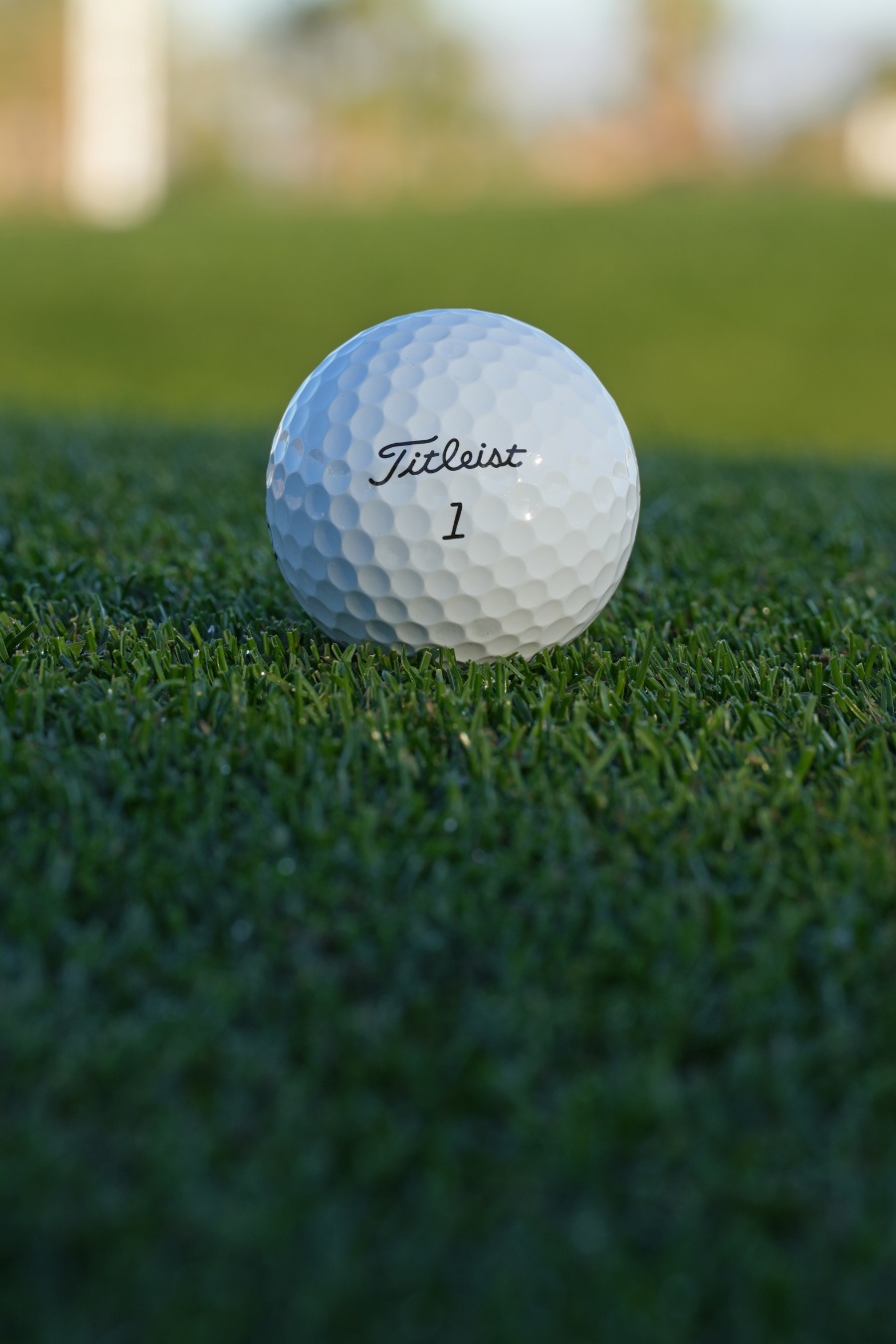 Pro V1 Ball