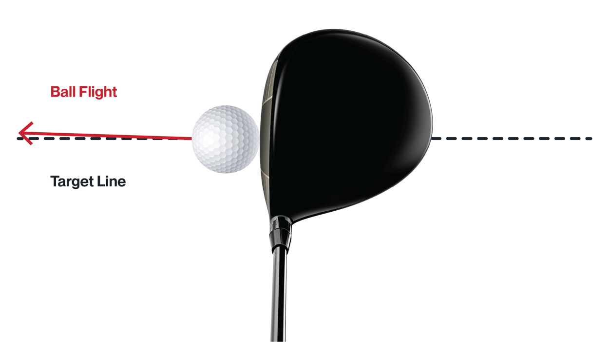 Face Club Alignment
