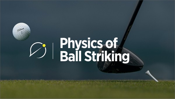 The Physics of Ball Striking