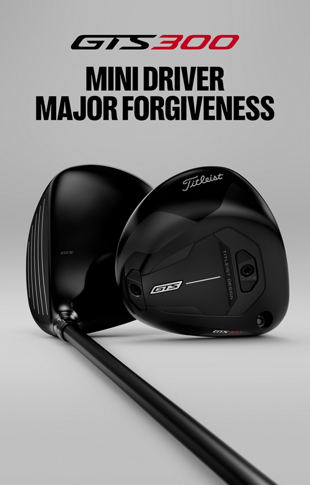 GTS300 Mini Driver