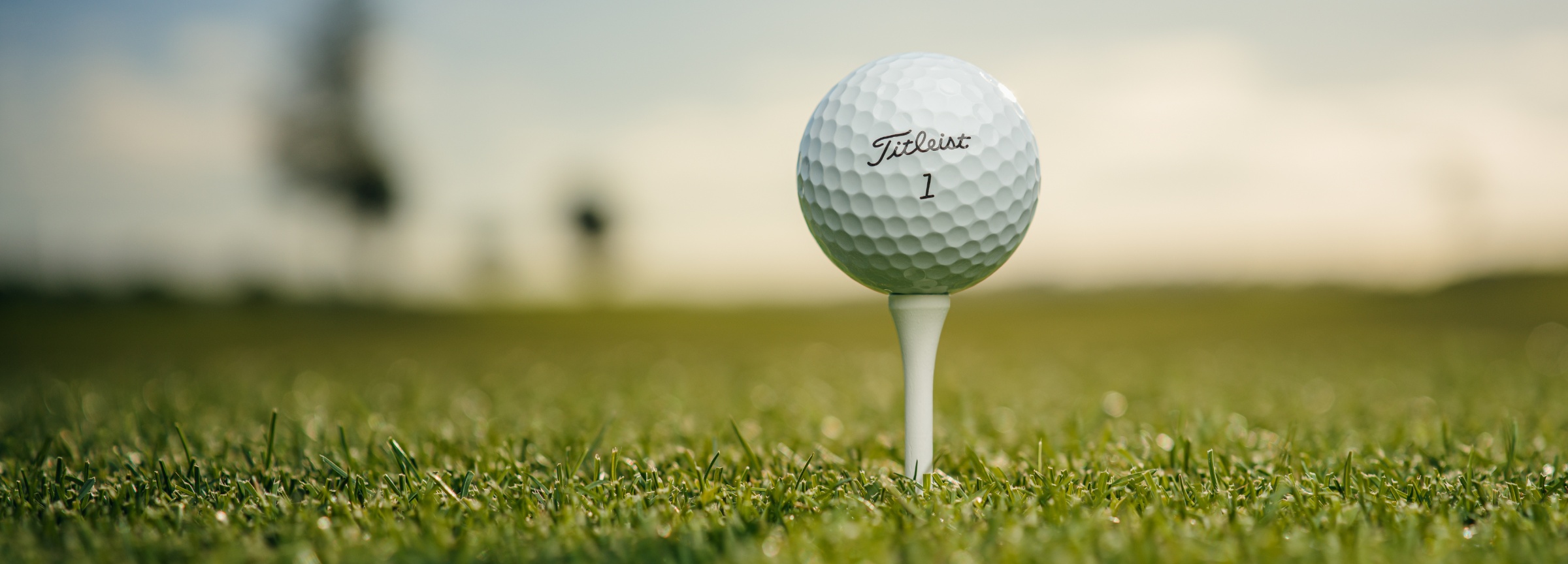 Titleist Pro V1 Golf Ball