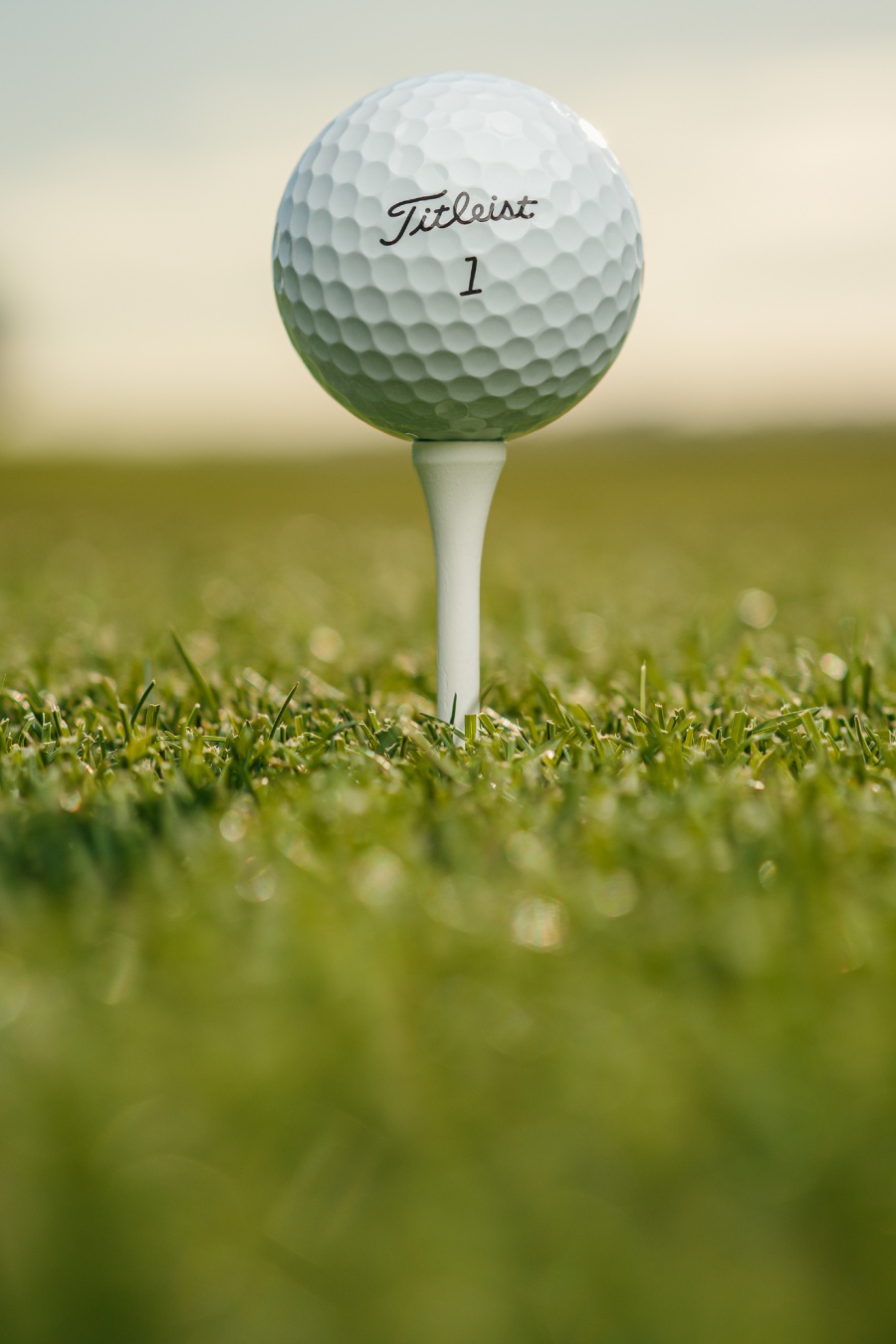 Titleist Pro V1 Golf Ball