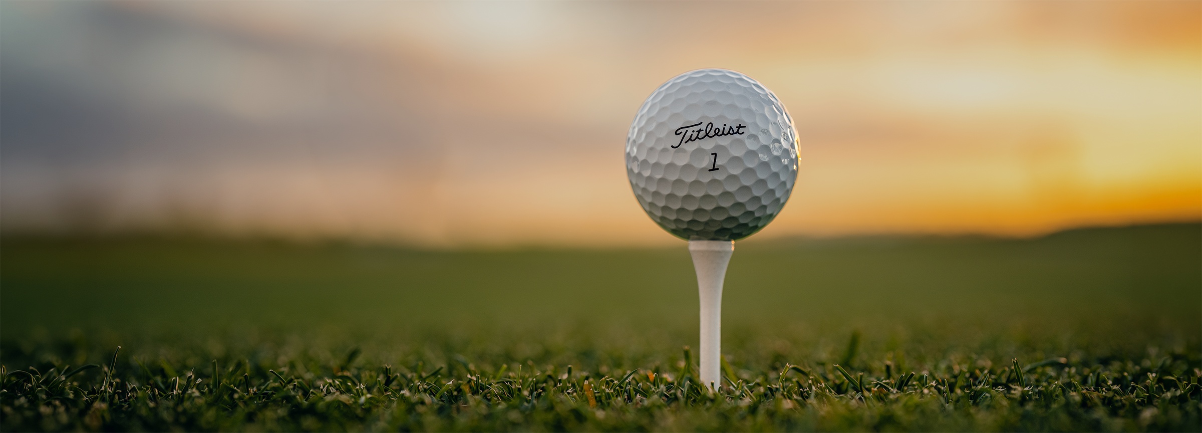 Titleist Pro V1 Golf Ball