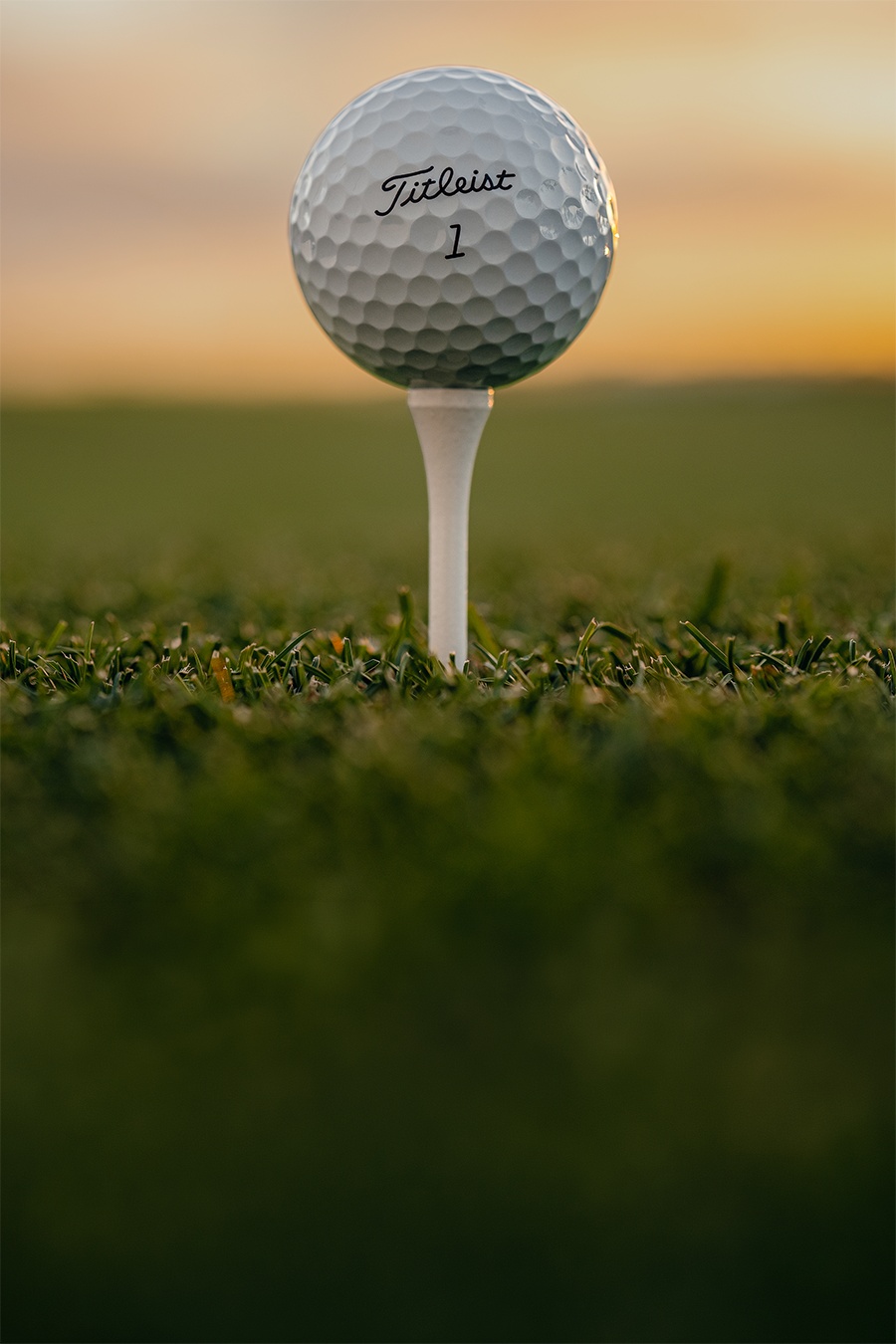 Titleist Pro V1 Golf Ball