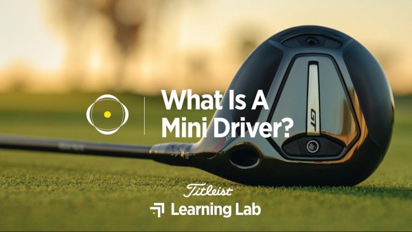 What Is A Mini Driver?