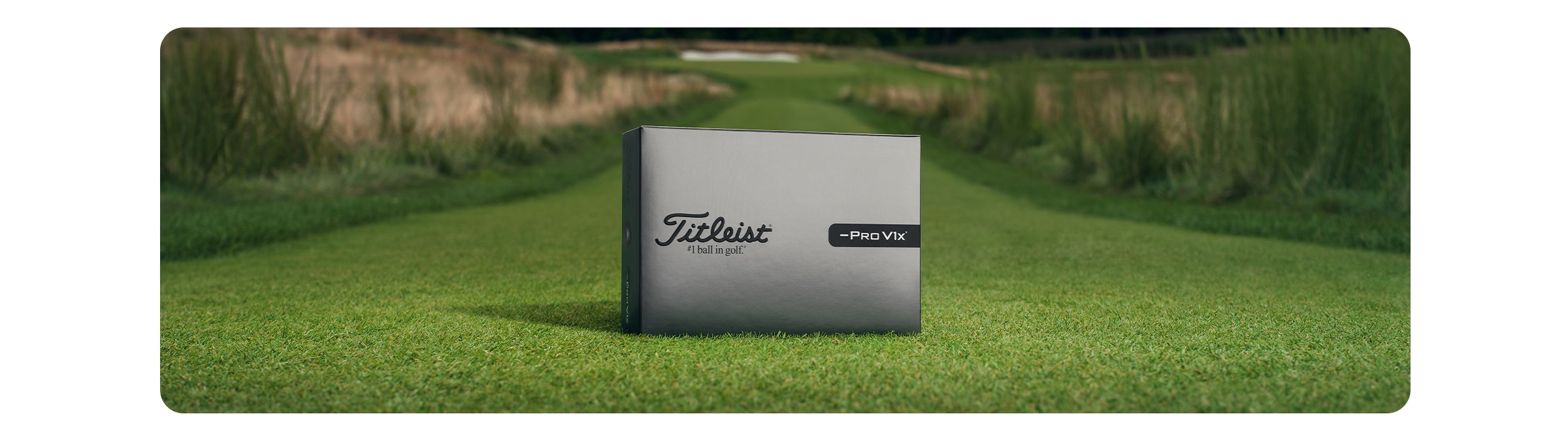 Titleist Pro V1<span>x</span> Left Dash
