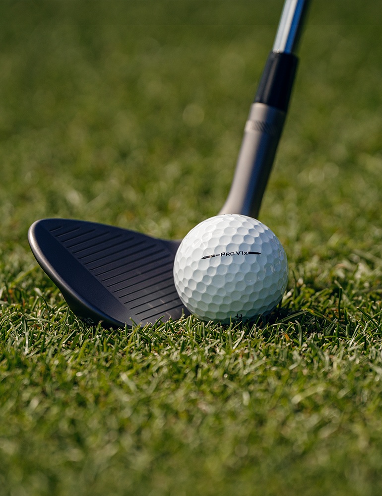 White Box Discussion