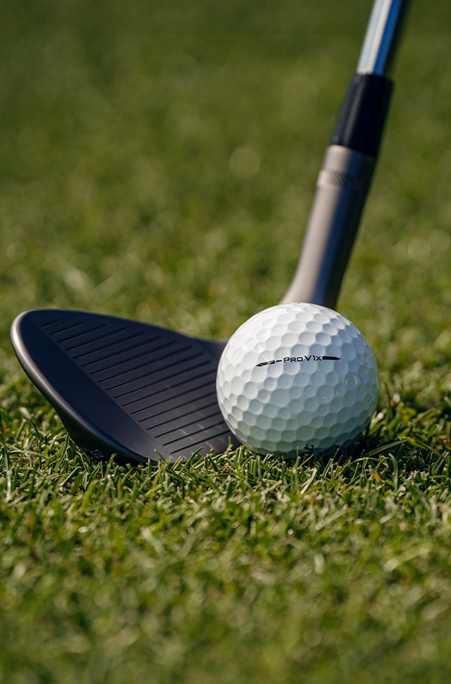 White Box Discussion