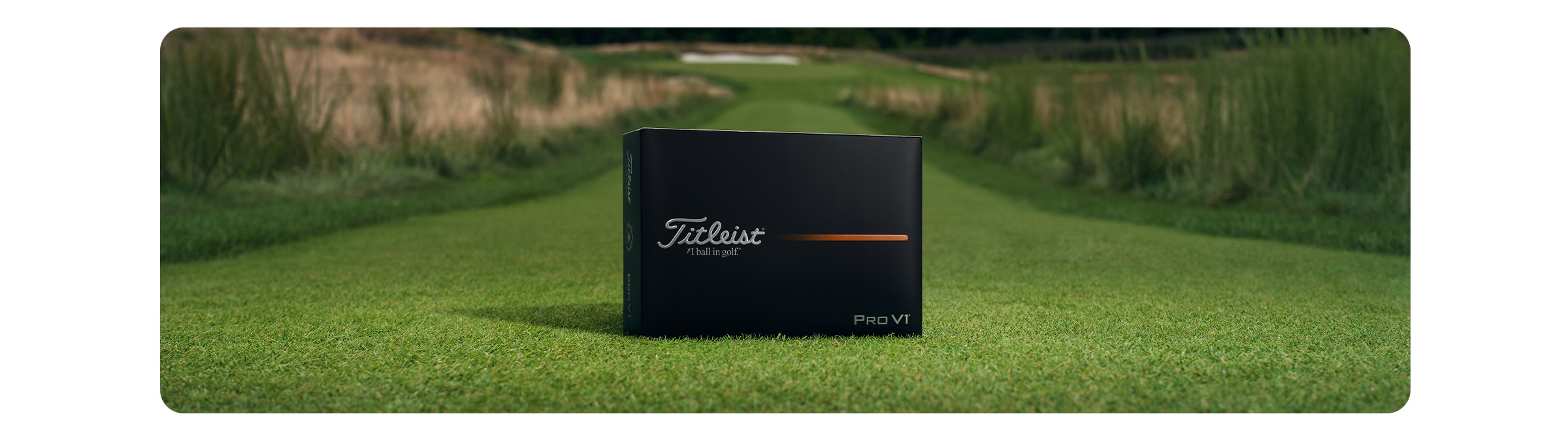 Titleist Pro V1