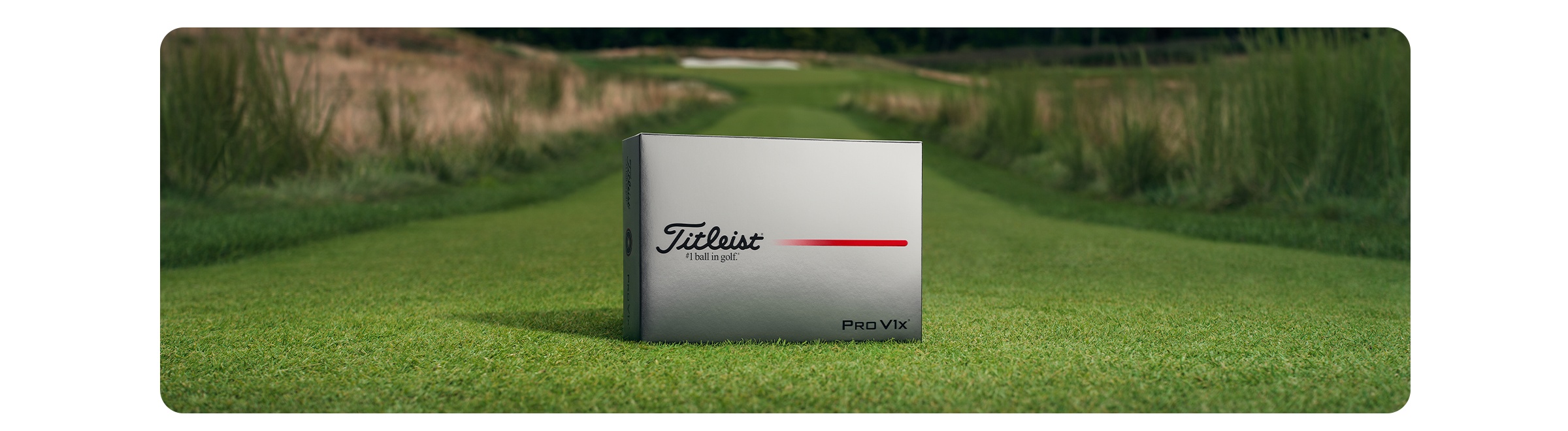 Titleist Pro V1<span>x</span>