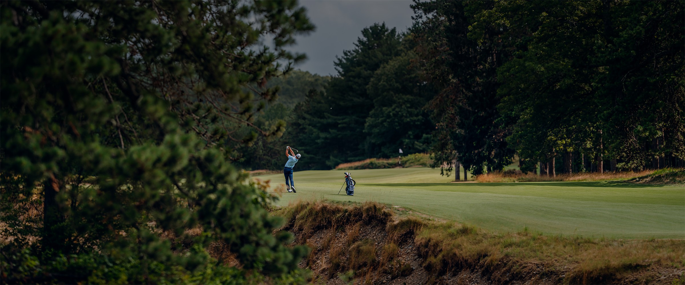 Pro V1<span>x</span> background