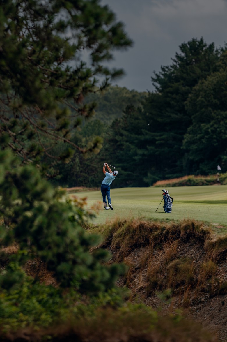 Pro V1<span>x</span> background