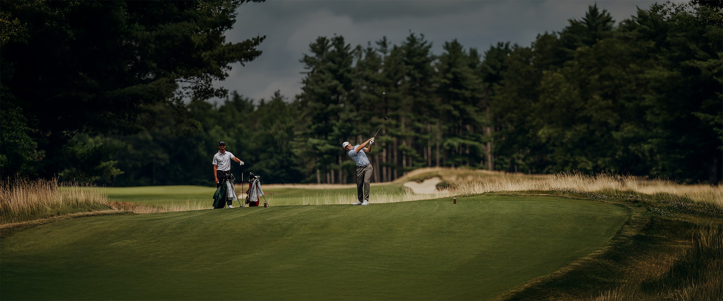 Pro V1<span>x</span> Left Dash background