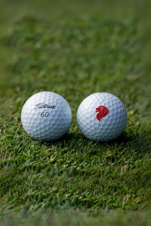 ゴルフボール　新品　Titleist 60球 楽天市場】ゴルフボール タイトリスト（総個数60 ～ 71個入り