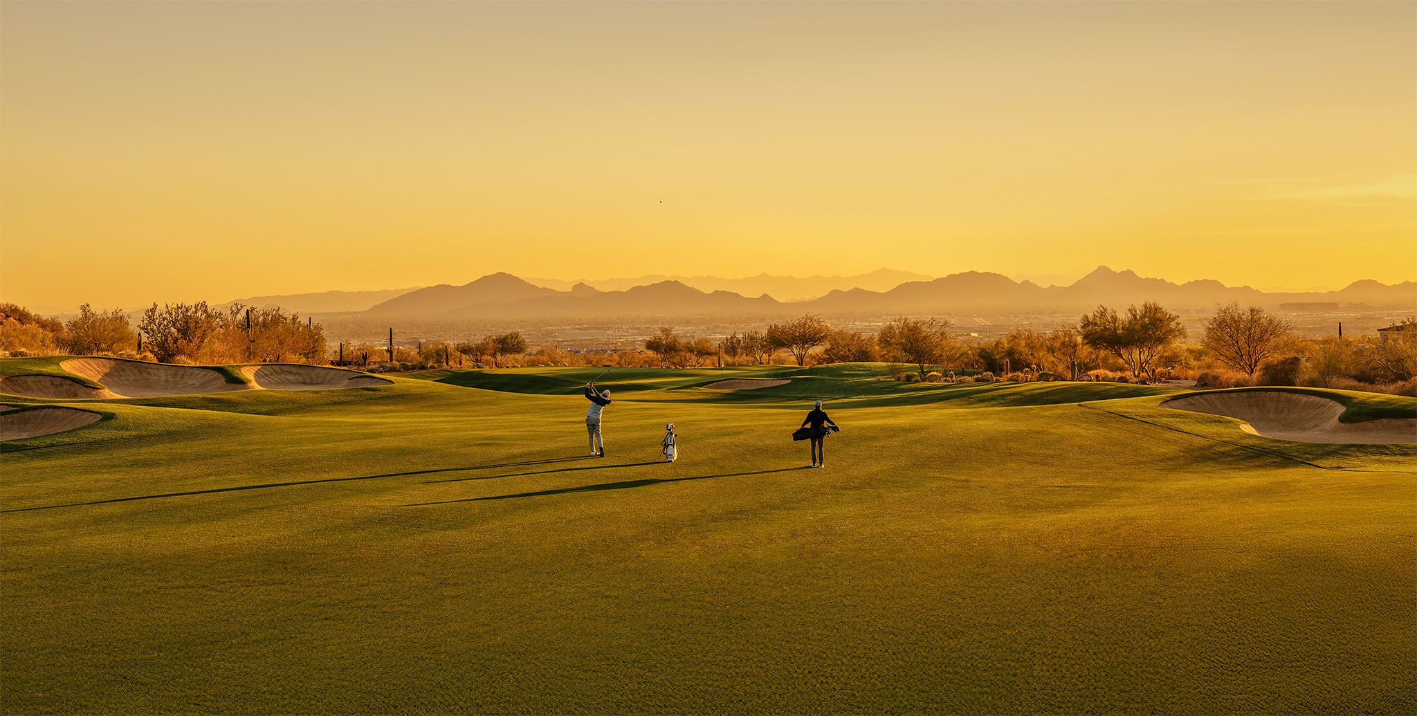 T-Series Golden Hour