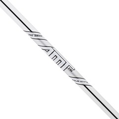 True Temper AMT Tour White