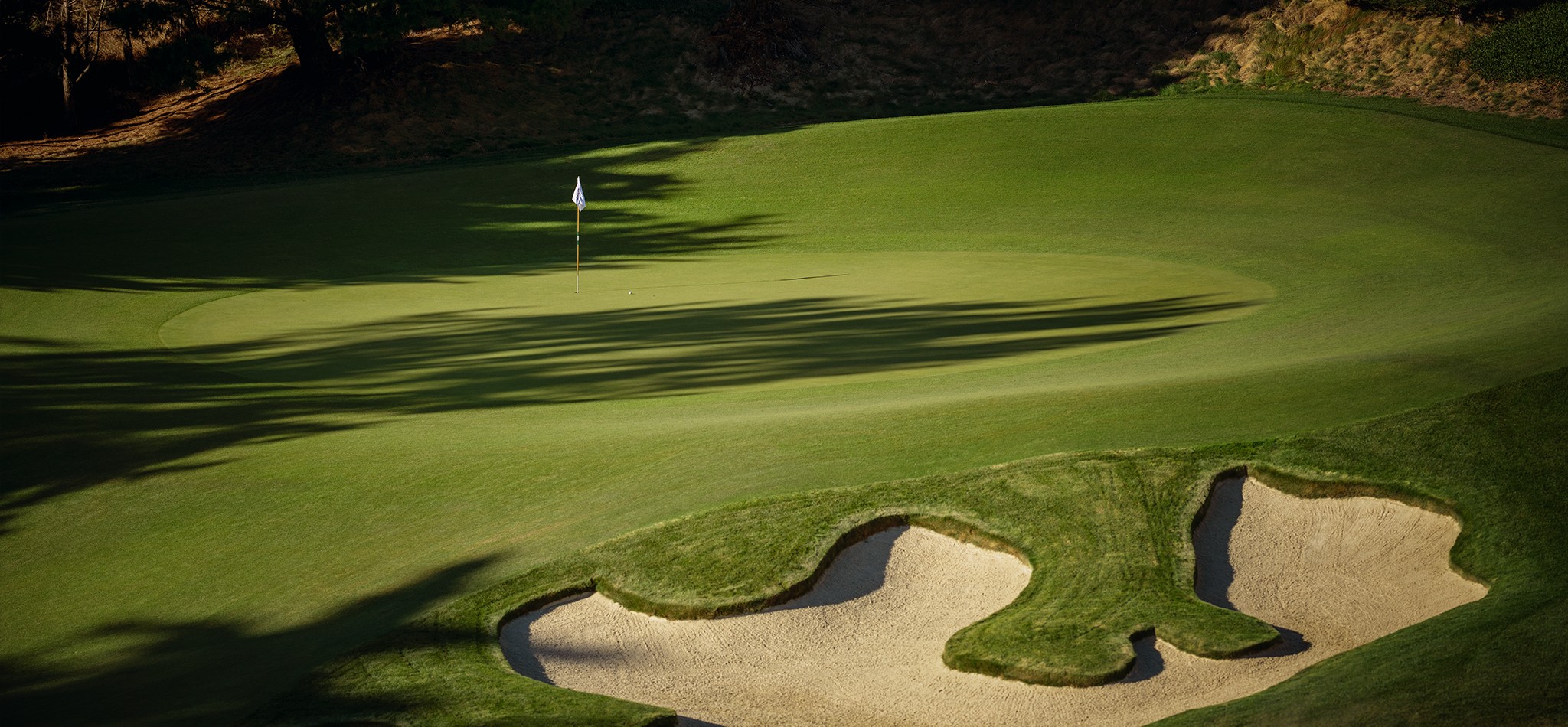 Team Titleist Year in Review