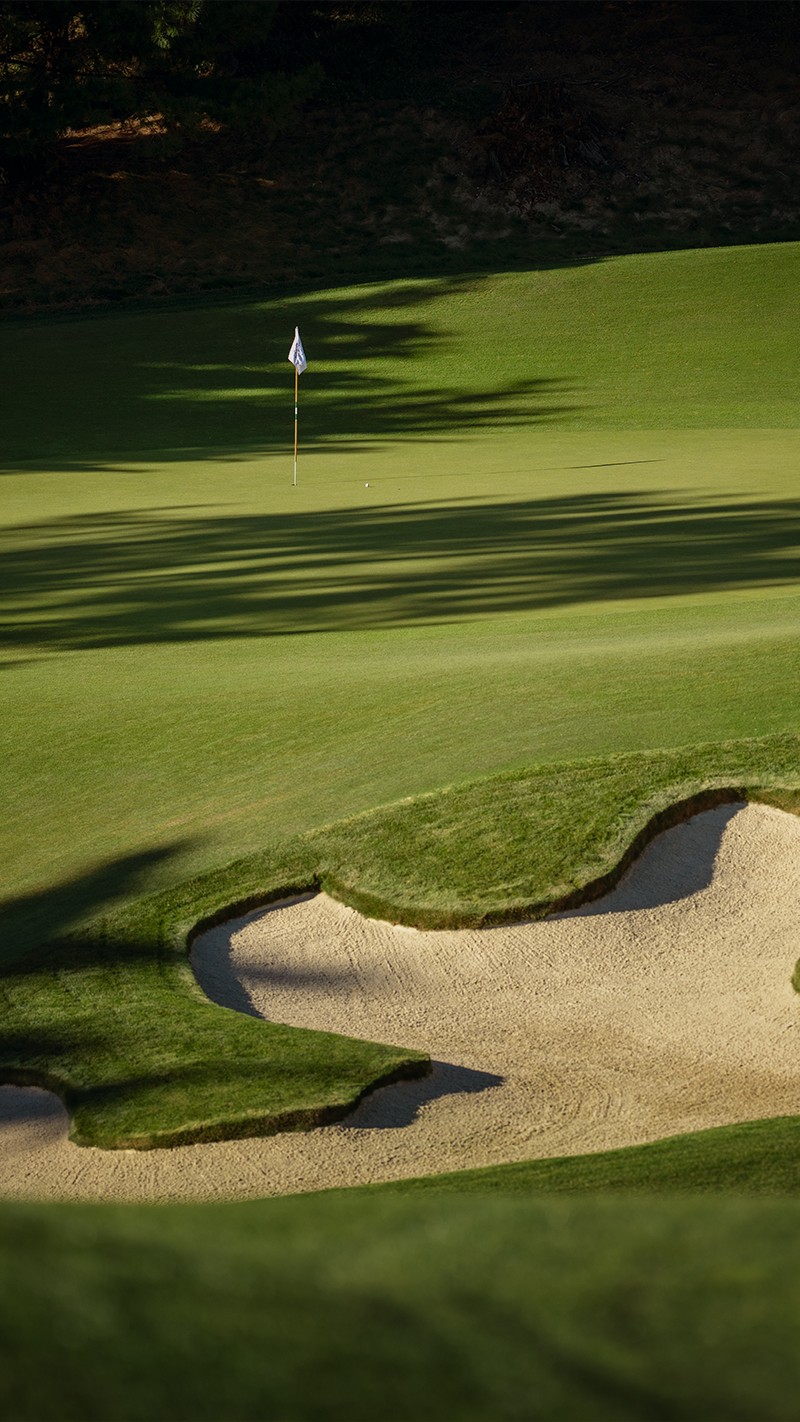 Team Titleist Year in Review