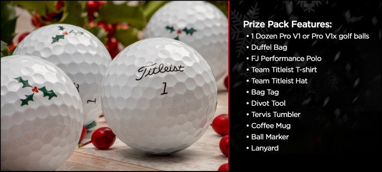 Happy Holidays Giveaway