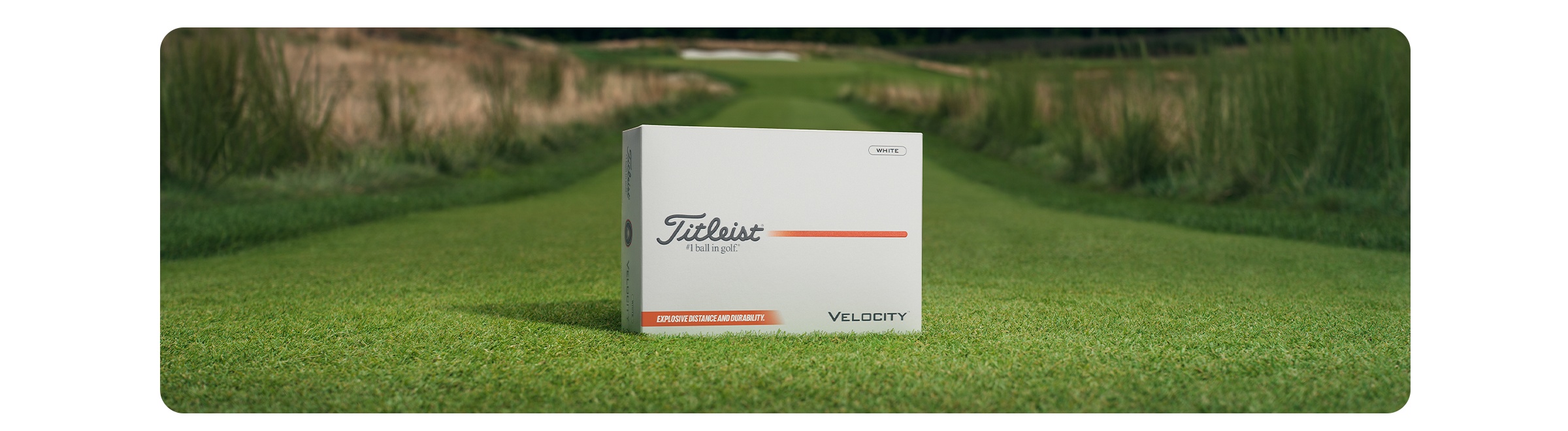 Titleist Velocity