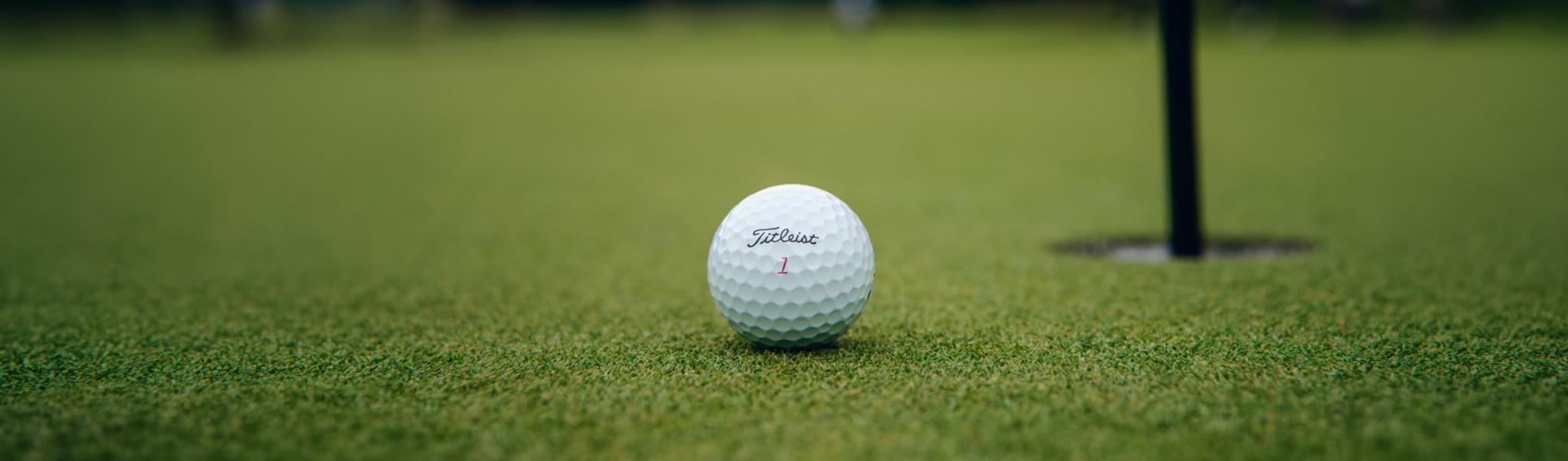 Pro V1<span>x</span> Golf Ball