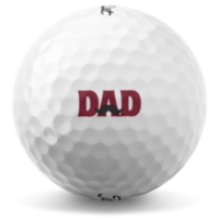 Fathers Day Dad Mustache