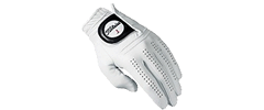 Titleist Glove Golf Club