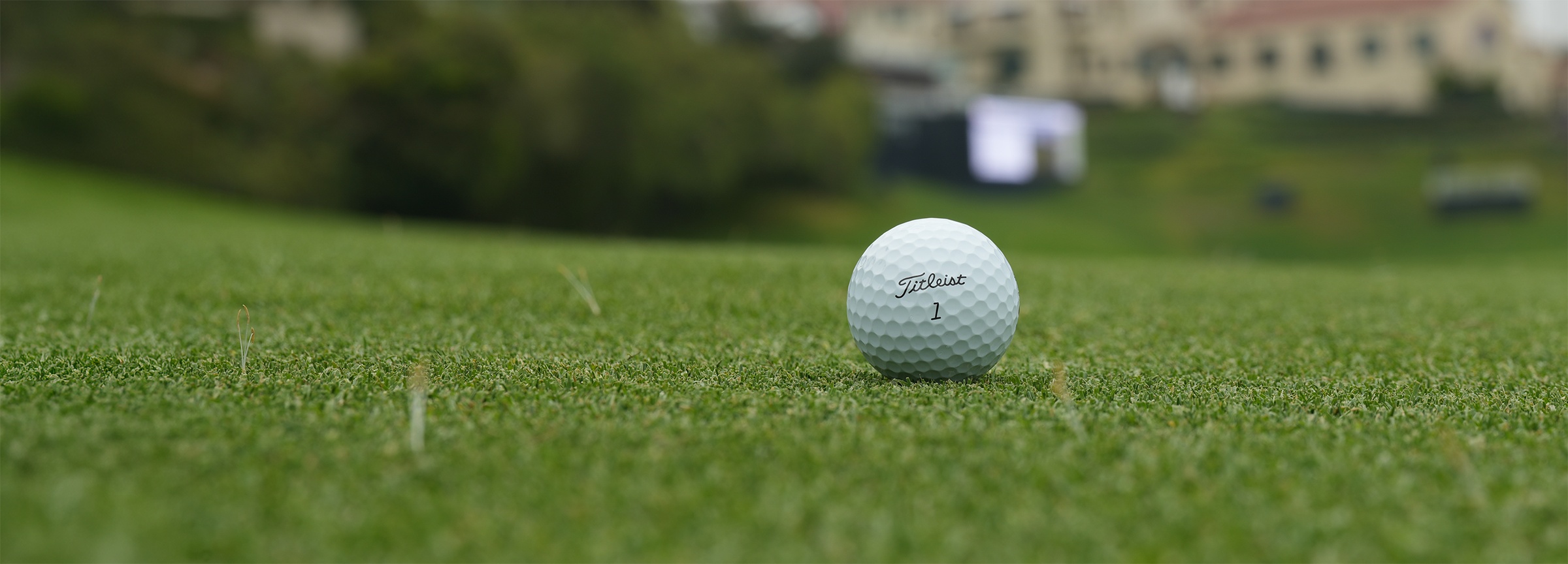 Titleist Pro V1 Golf Ball