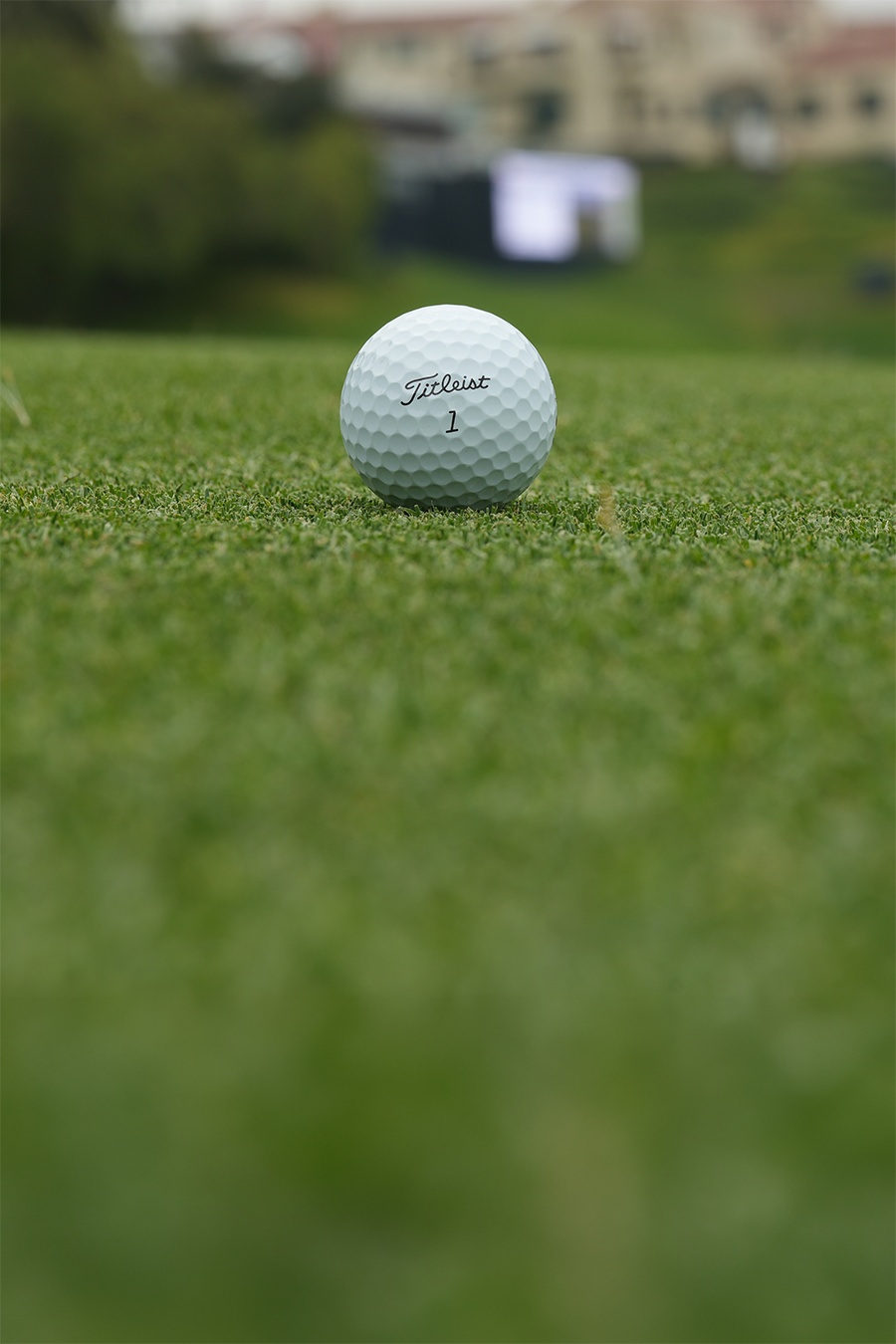 Titleist Pro V1 Golf Ball